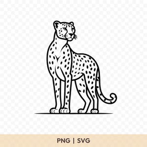 May include: A black and white illustration of a cheetah standing, facing to the side. The cheetah has black spots and is outlined in black. The image includes the text "PNG | SVG" at the bottom.