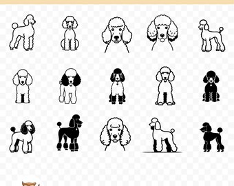 Cute Poodle SVG Bundle, Poodle Clipart, 15 Poodle Cut Files for Cricut, PNG and SVG, Vector Image Cut Files, Printable