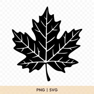 Maple Leaf SVG: Cut File for Cricut, Silhouette, Digital Download, Printable Clipart, Nature Vector, Autumn Leaf Art