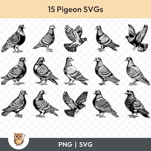 Taube SVG Bundle, Taube Clipart, 15 Taube Schnittdateien für Cricut, PNG und SVG, Vektor Bild Schneidedateien, Printable