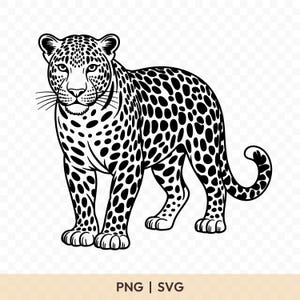 Puede incluir: Ilustración en blanco y negro de un leopardo de pie con la cola enroscada. El leopardo tiene un pelaje manchado y mira hacia adelante. El texto "PNG | SVG" está en la parte inferior.