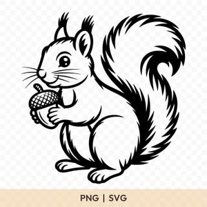 Könnte beinhalten: Schwarz-Weiß-Illustration eines Eichhörnchens, das eine Eichel hält. Das Eichhörnchen hat einen buschigen Schwanz und lächelt. Das Bild enthält den Text "PNG | SVG".