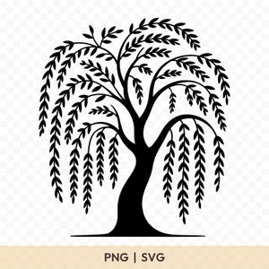 May include: Black silhouette of a weeping willow tree with cascading branches and leaves. The tree has a thick trunk and a rounded crown. The image includes the text "PNG | SVG" at the bottom.
