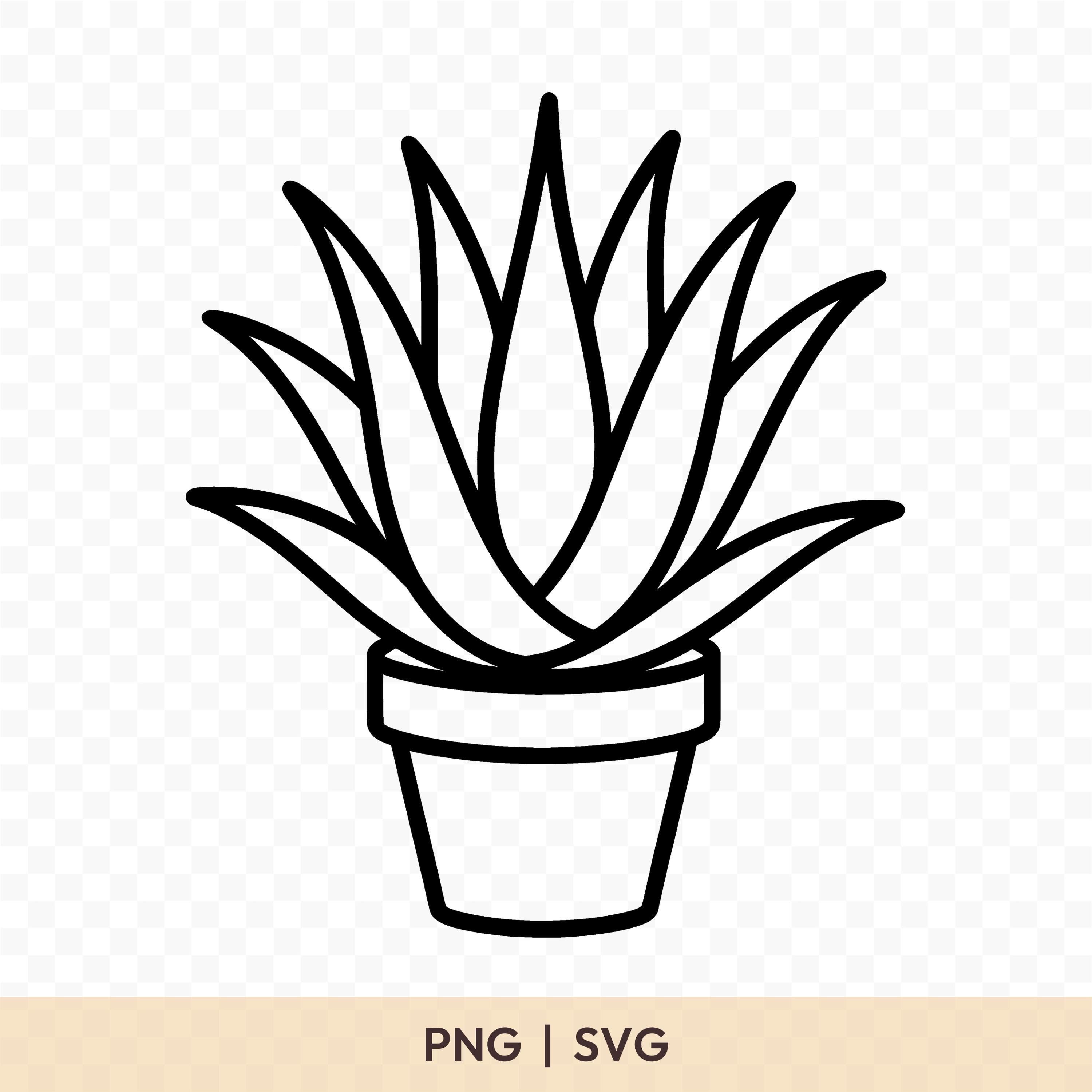 Aloe vera vektor - Etsy sterreich