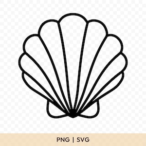 Può includere: Un disegno a tratto nero e bianco di una conchiglia. Il guscio è a forma di ventaglio con più linee curve che si irradiano da un punto centrale. L'immagine include il testo "PNG | SVG" in basso.