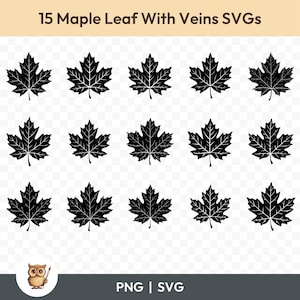 Pacchetto SVG foglia d&#39;acero con venature, Clipart foglia d&#39;acero, 15 file di taglio foglia d&#39;acero per Cricut, PNG e SVG, file di taglio immagine vettoriale, stampabili