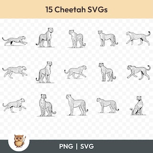 Cheetah SVG Bundle, Cheetah Clipart, 15 Cheetah Cut Files for Cricut, PNG and SVG, Vector Image Cut Files, Printable
