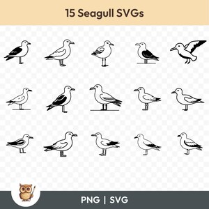 Paquete SVG de gaviota, imágenes prediseñadas de gaviota, 15 archivos de corte de gaviota para Cricut, PNG y SVG, archivos de corte de imágenes vectoriales, imprimibles
