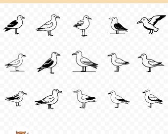 Seagull SVG Bundle, Seagull Clipart, 15 Seagull Cut Files for Cricut, PNG and SVG, Vector Image Cut Files, Printable