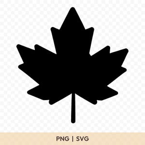 Maple Leaf SVG: Maple Leaf Cut File, Maple Leaf PNG, Maple Leaf Silhouette, Maple Leaf Cricut, Maple Leaf Clipart