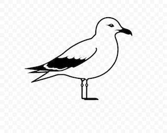 Seagull SVG: Seagull Cut File, Seagull PNG, Seagull Silhouette, Seagull Cricut, Seagull Clipart, Seagull Vector, Seagull Printable
