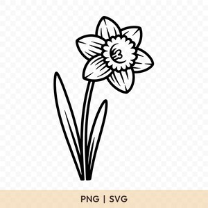 May include: Black and white line art of a daffodil flower. The flower has six petals and a central trumpet shape. The stem has two long leaves. The text "PNG | SVG" is at the bottom.