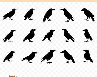 Crow Silhouette SVG Bundle, Crow Clipart, 15 Raven Cut Files for Cricut, PNG and SVG, Vector Image Cut Files, Printable