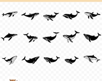 Whale SVG Bundle, Whale Clipart, 15 Whale Silhouette Cut Files for Cricut, PNG and SVG, Vector Image Cut Files, Printable