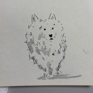 May include: A black and white ink drawing of a fluffy dog with a surprised expression.