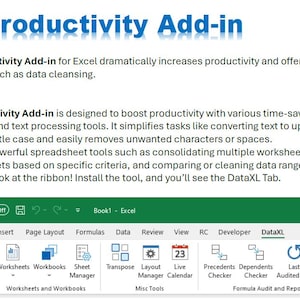 May include: A screenshot of a Microsoft Excel spreadsheet with a green ribbon at the top. The ribbon has several tabs, including "File", "Home", "Insert", "Page Layout", "Formulas", "Data", "Review", "View", "RC", "Developer", and "DataXL". The DataXL tab is highlighted. The DataXL tab contains several icons, including a clock, a summary report, and an information icon.