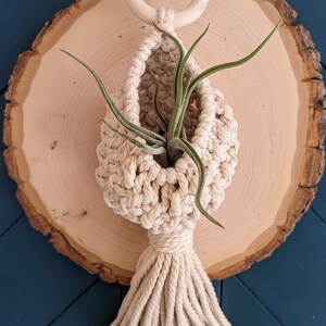 May include: A macrame plant hanger with a wooden ring at the top and a tassel at the bottom. A small green air plant is inside the hanger.