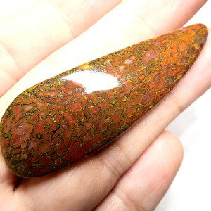 May include: A smooth, polished, teardrop-shaped stone with a swirling pattern of brown, orange, and red.
