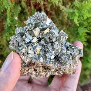 May include: A cluster of pyrite, also known as fool's gold, held in a hand. The metallic mineral has a cubic crystal structure and a shiny, gold-like appearance. The pyrite is set against a backdrop of green foliage.