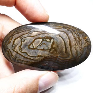 May include: A polished oval-shaped stone with brown, gray, and black swirling patterns. The stone has a smooth, glossy finish.