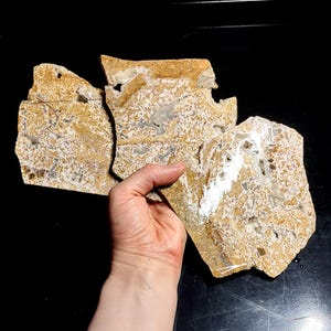 3 Calico lace agate slabs group