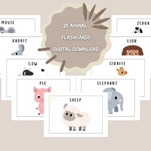 25 Animal Flashcards/ Flashcards Animal ENGLISH learning/ kindergarden & preschool activity/ DIGITAL DOWNLOAD
