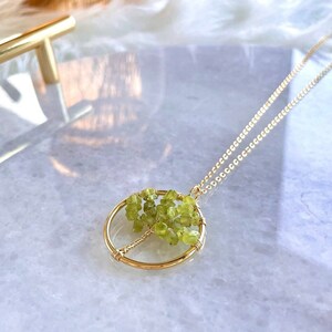 Puede incluir: Un delicado collar dorado con un colgante circular con un diseño de árbol de alambre. El árbol está adornado con pequeñas piedras preciosas de peridoto verde claro. La cadena del collar también es dorada, creando una elegante pieza de joyería. El colgante mide unos 2,5 cm de diámetro.