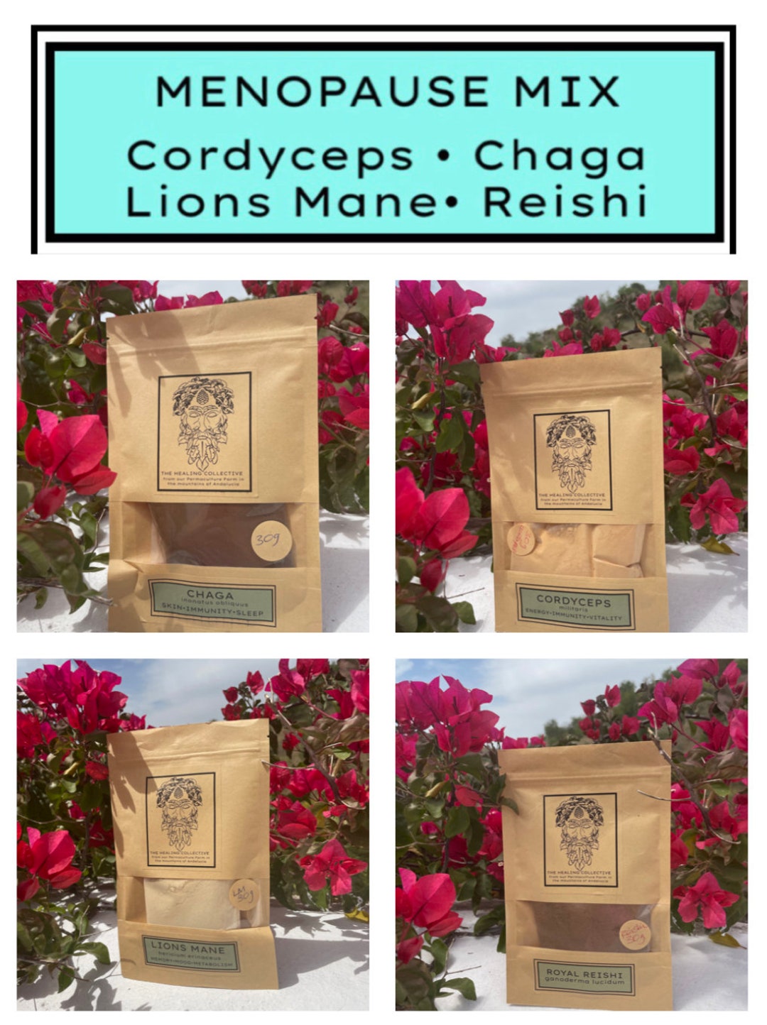 Menopause Mix Fruiting Body Mushroom Mixture 30 Grams 60 Etsy