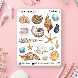 May include: A sheet of seashell stickers with a watercolor design. The stickers feature various seashells, starfish, and pearls in shades of brown, white, and blue. The sheet is labeled "Seashells" and "Mellie's Prints".