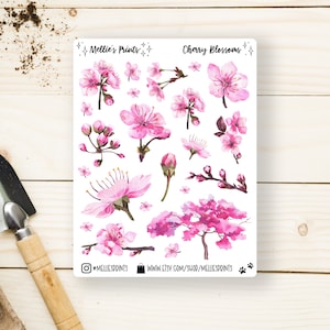 Cherry Blossoms | Planner Stickers, Scrapbook Stickers, Bullet Journal Sticker, Spring, Pink, Watercolor, Japan, Plum Blossom, Nihon, Sakura