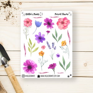 Flores prensadas / Pegatinas para planificador, Pegatinas para álbumes de recortes, Pegatinas para bullet journal, Flor, Acuarela, Florales, Desecado, Flores secas