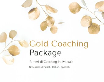 Gold Coaching Package - one-to-one coaching 12 sessions