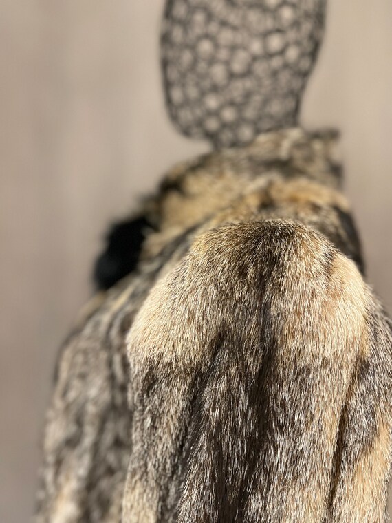 Coyote Fur Coat, Vintage Coyote Fur Coat, Coyote … - image 6