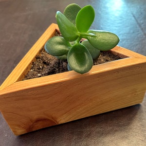 May include: A small succulent plant in a triangular wooden planter. The planter is made of light brown wood and has a natural finish. The plant is green and has a variety of leaves.
