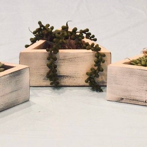 May include: Three white triangular wooden planters with distressed paint, each holding a different type of succulent plant.