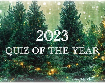 2023 Quiz Of The Year