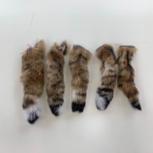 Bobcat/Lynx Fur Tails - Set of Five