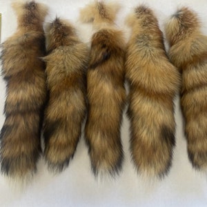 Red Fox Tails - Set of Five