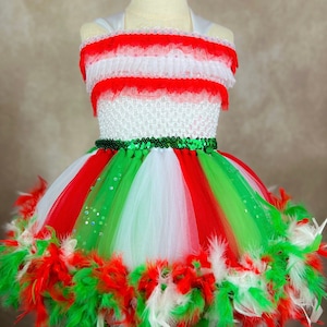 Mexican Cinco De Mayo Red White Green Fiesta Party Pageant Costume Feathered Dress (Adult)