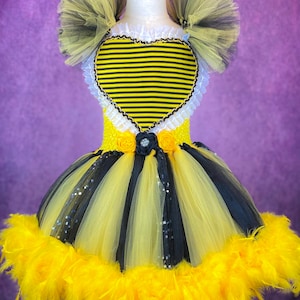 Queen Bee Spring Insect Halloween Costume Party Pageant Dance Recital Dress (Adult)