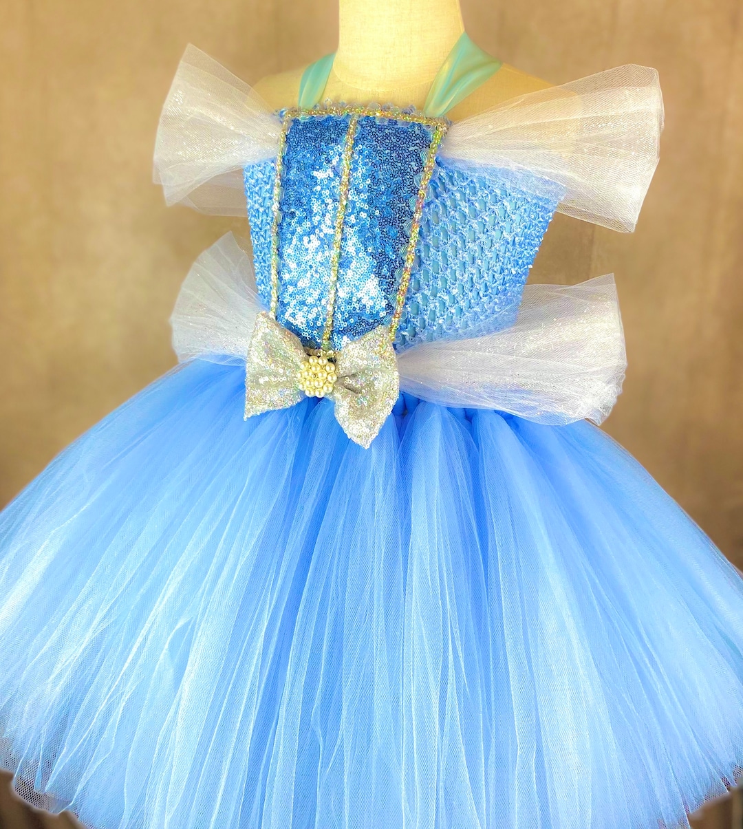 Cinderella's Royal Ball Birthday Party Pageant Dance Recital Halloween Costume Princess ...