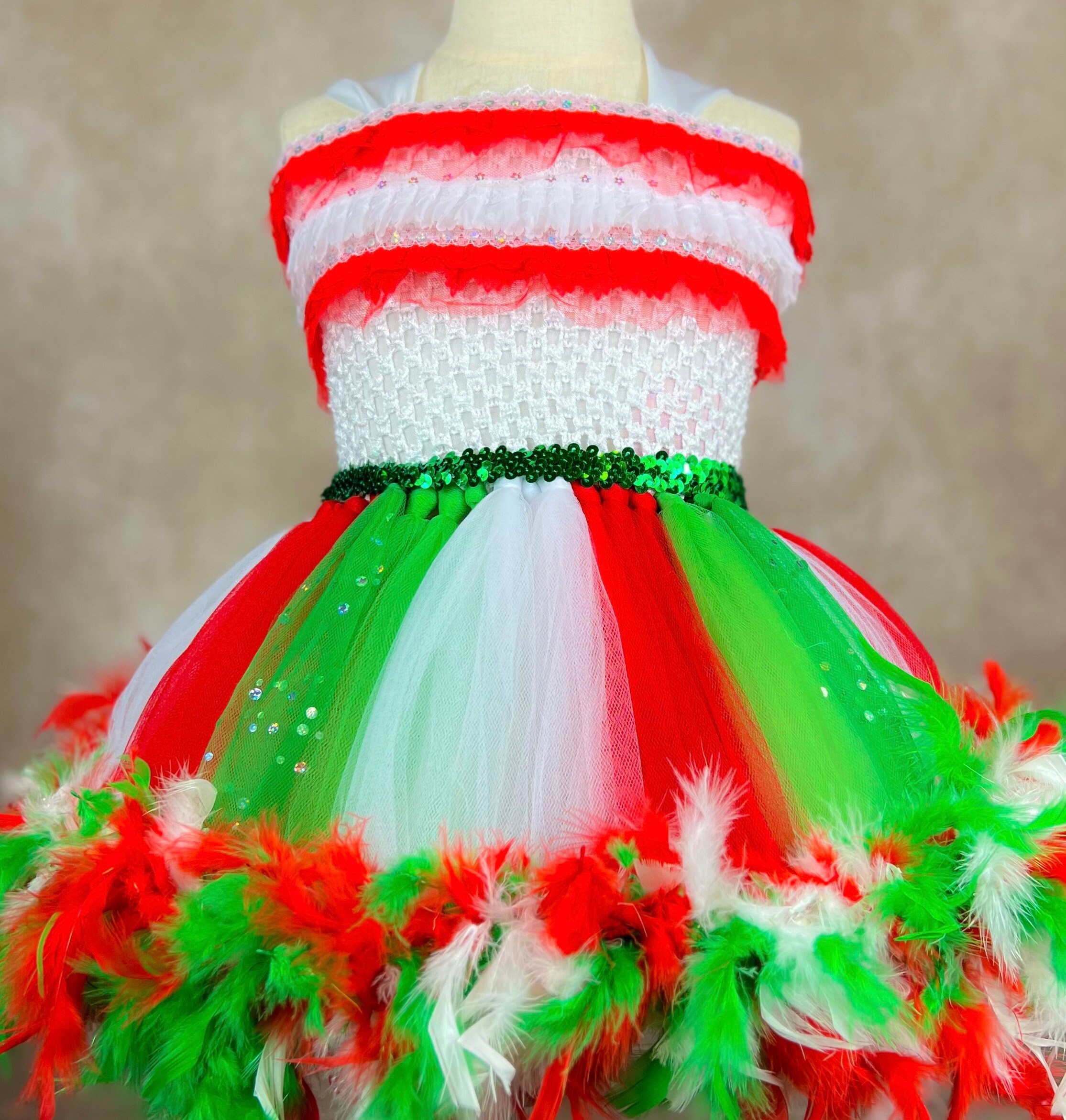 Mexican Cinco De Mayo Red White Green Fiesta Party Pageant Costume Feathered Dress