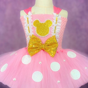 Pink Minnie Mouse Halloween Costume Dance Recital Polka Dot Pageant Party Character Dining Dress