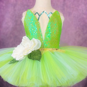 Tiana Princess and the Frog Green Princess Costume Magnolia Pageant Party Dance Recital Frog Princess Dress