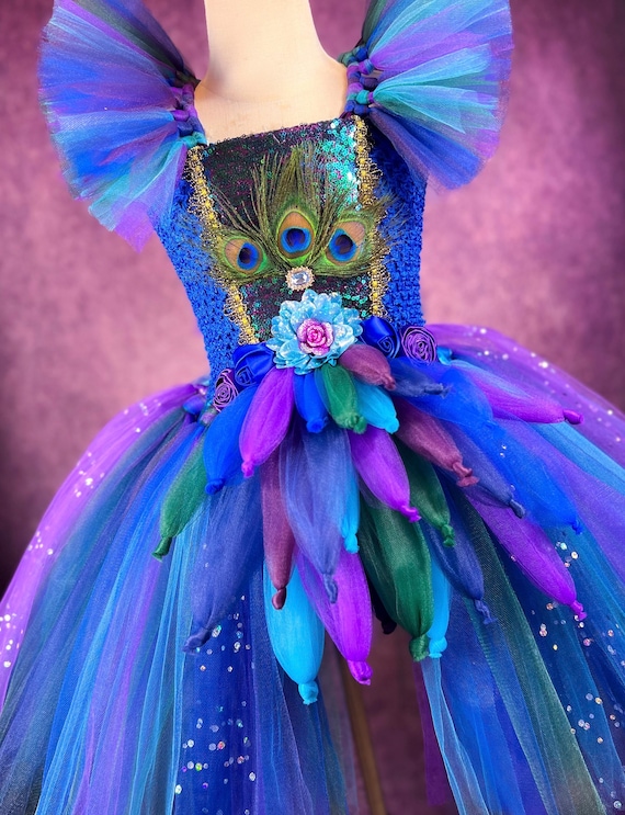 purple and blue combination dress Blue/Purple Ombre Tulle Prom Dress, V Neck Lace Appliqued Pageant Dress,ARD2922