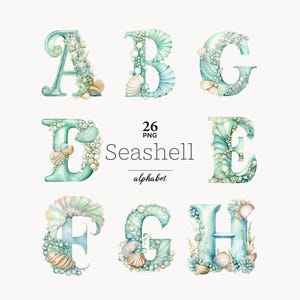 Seashell Alphabet PNG: Beach Wedding Font (Digital Download)
