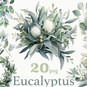 Watercolor eucalyptus clipart, Greenery bouquet clipart bundle, Card making, Scrapbooking, junk journal, Wedding clipart, eucalyptus leaves