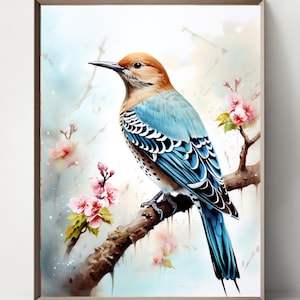 Woodpecker Set of 4, Birds of America, Northern Flicker