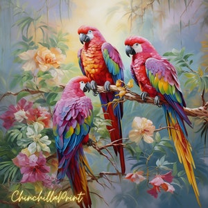 Parrot Parrot photography Bird art Printable Clipart Bundle Commercial Use Vintage parrot Watercolor parrot