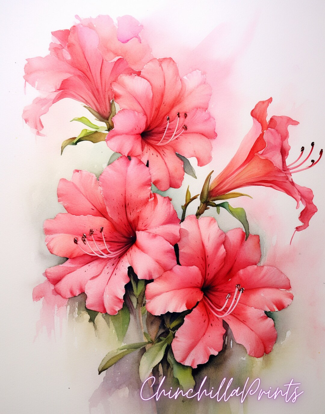 Azalea Flower Floral Print File for Download Room Decor Flowers in a